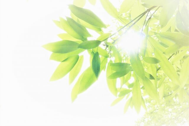 木